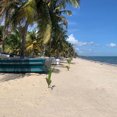 All Seasons Belize Hopkins Dış mekan fotoğraf