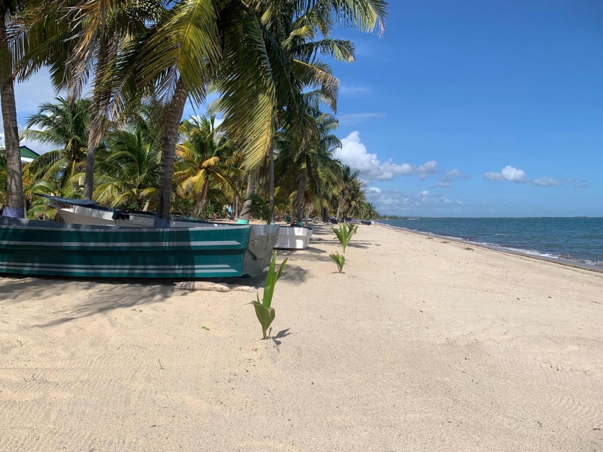All Seasons Belize Hopkins Dış mekan fotoğraf