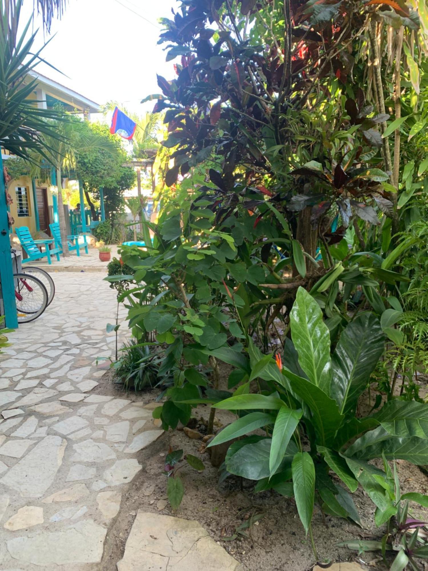 All Seasons Belize Hopkins Dış mekan fotoğraf