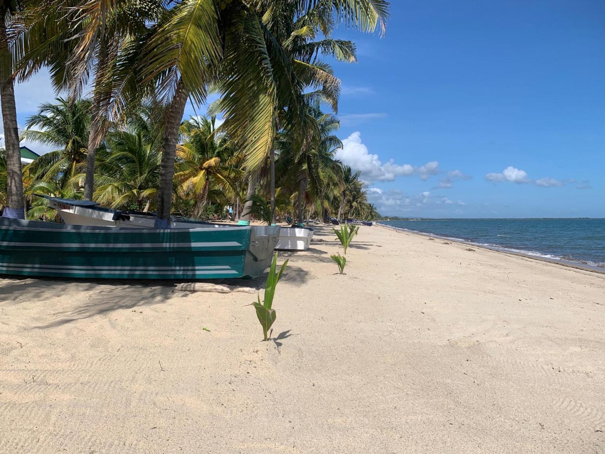 All Seasons Belize Hopkins Dış mekan fotoğraf